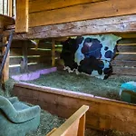 Millinghof Vakantieboerderij *