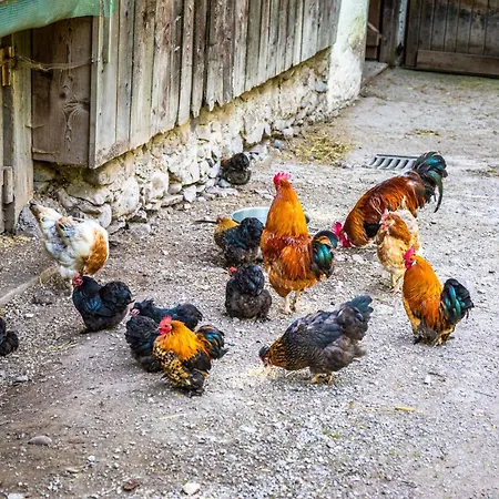 Millinghof Леоганг