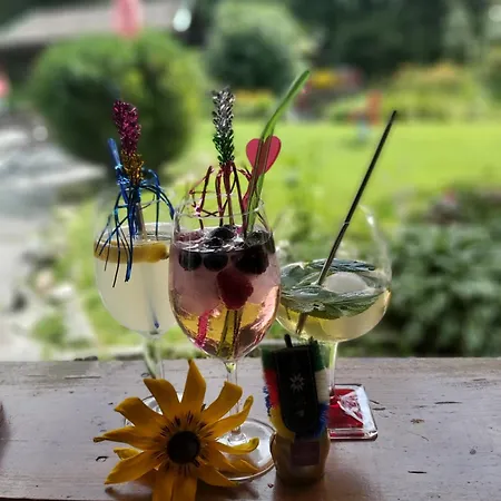 Millinghof Фермерский дом Леоганг