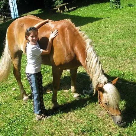 Millinghof Фермерский дом Леоганг