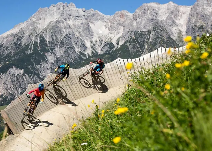 Millinghof 팜스테이 *