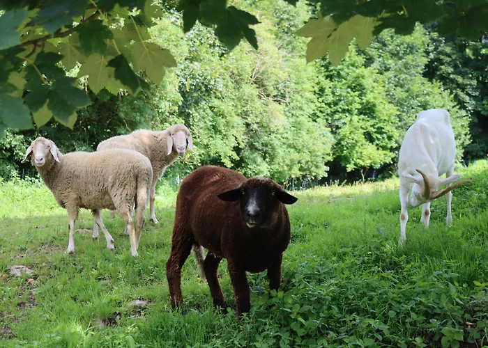 Millinghof 레오강